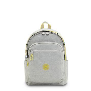 Kipling Delia Klassieke Rugzak Grijs | BE 1554RV